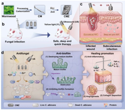 黃光超聲技術 真菌無蹤，腳氣克星的科研實力新突破